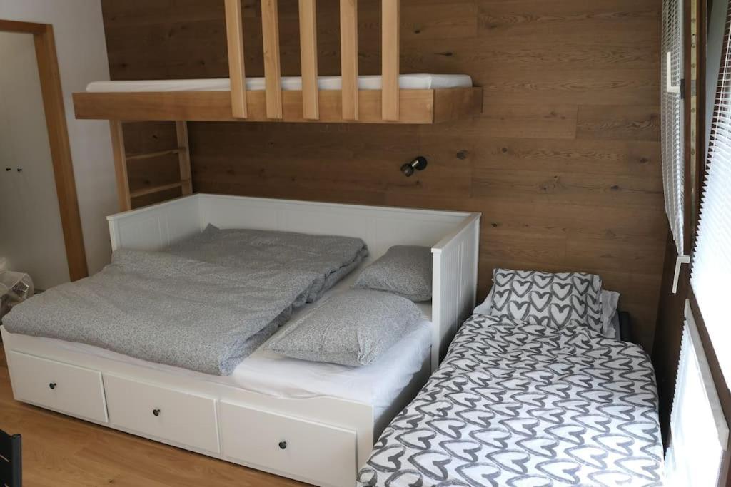 Modern Flat Near Grosser Arber 바이에리슈아이젠슈타인 외부 사진
